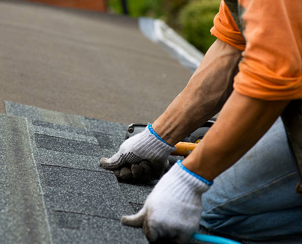 Best Roof Gutter Cleaning  in Harkers Island, NC